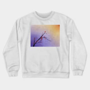 Umé Kisses Sunset Crewneck Sweatshirt